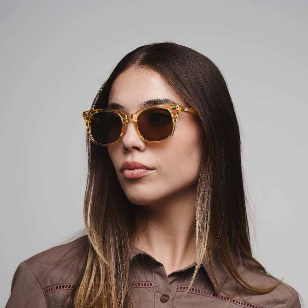 Bruno Champ Polarized