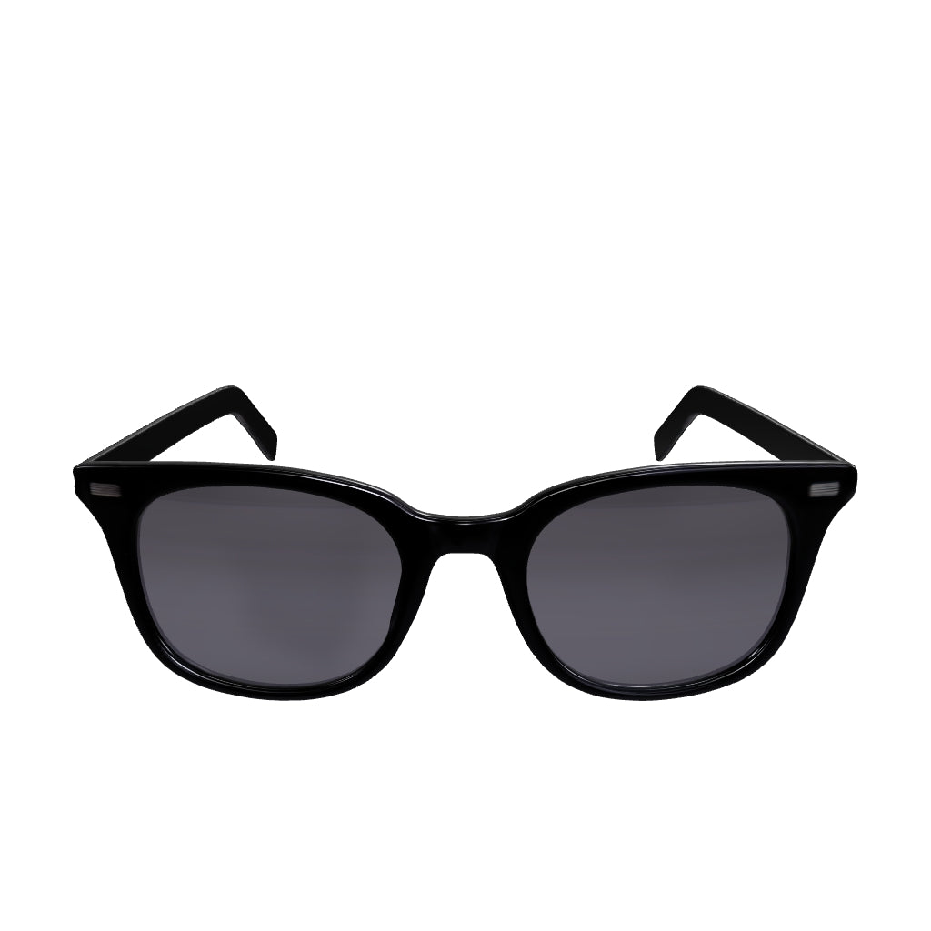 Bruno Black Polarized